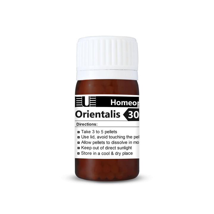 Blatta Orientalis