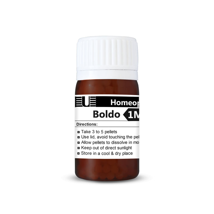 Boldo (Peumus Boldus)