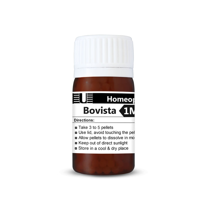 Bovista