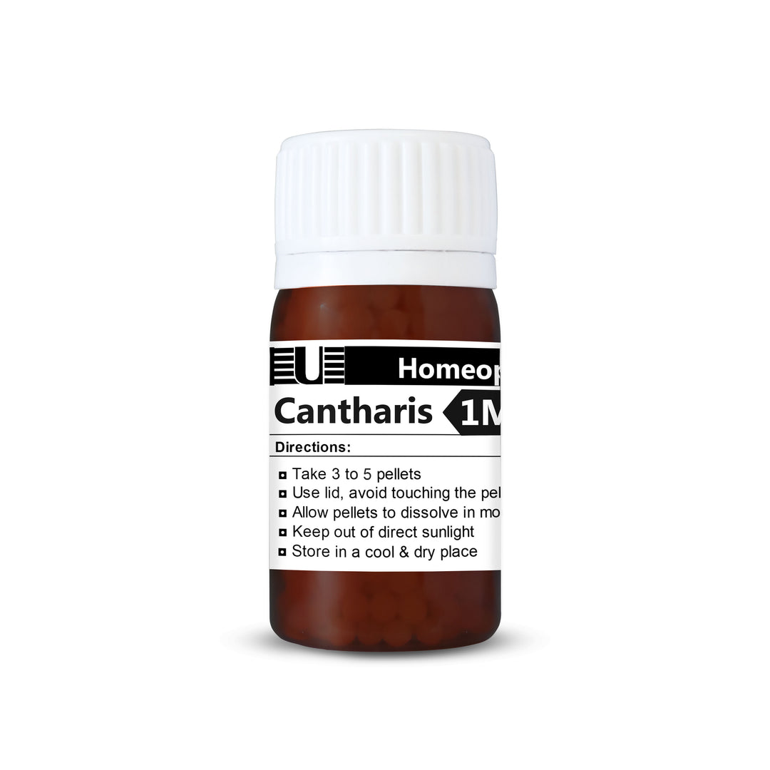 Cantharis