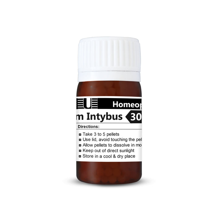 Cichorium Intybus (Chicory)
