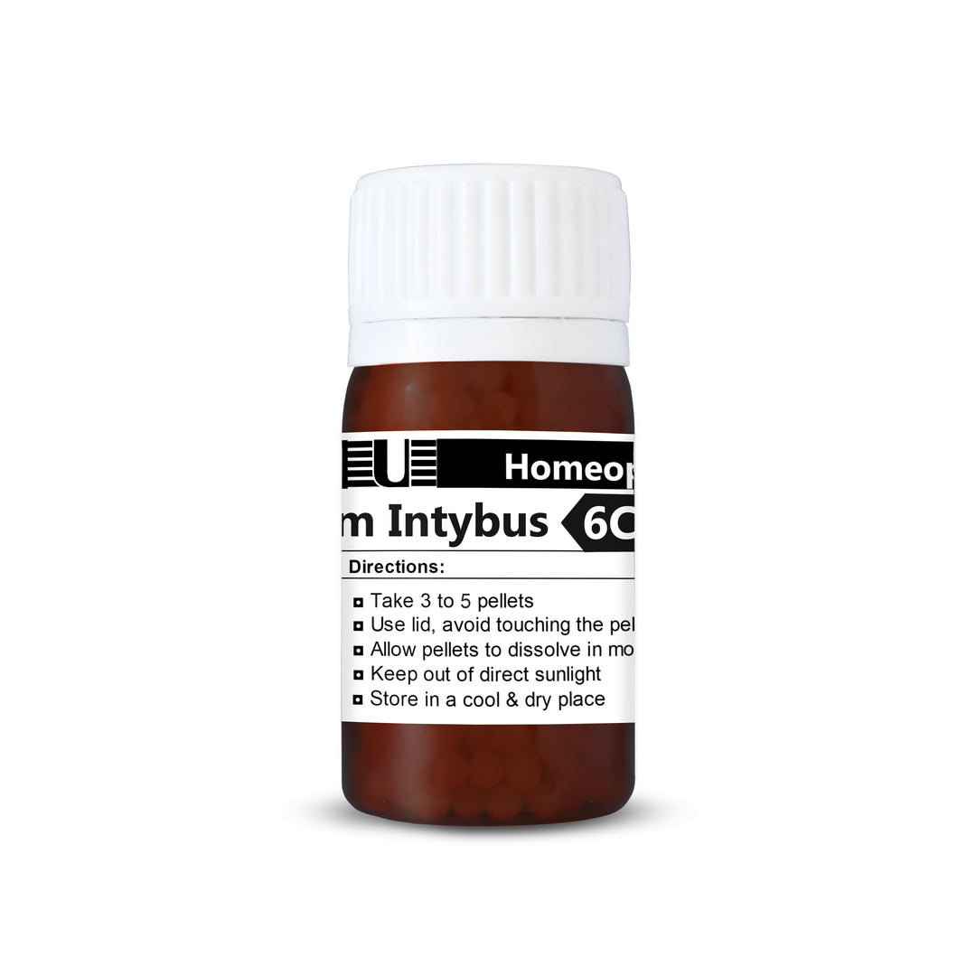 Cichorium Intybus (Chicory)