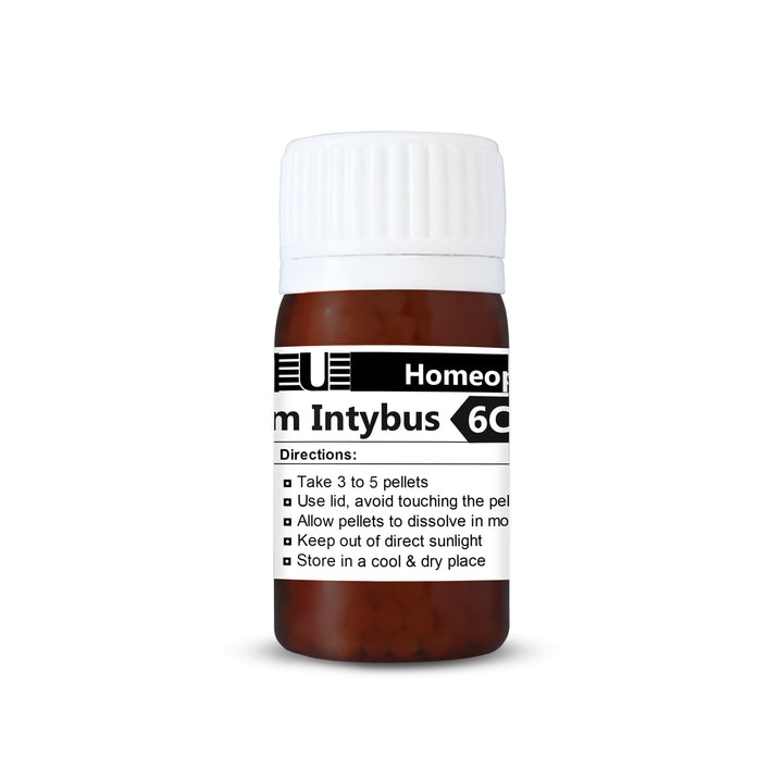 Cichorium Intybus (Chicory)