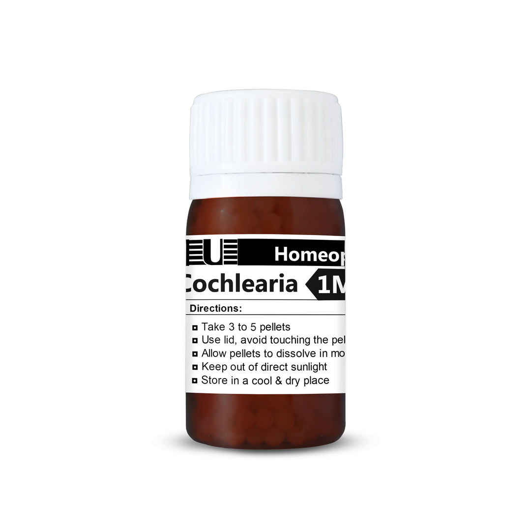 Cochlearia Armoracia