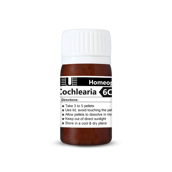 Cochlearia Armoracia