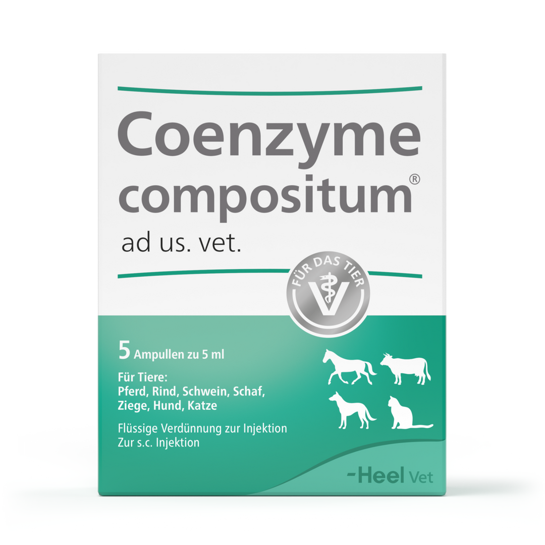 Coenzyme Compositum ad us vet 5ml Ampoules (VET)