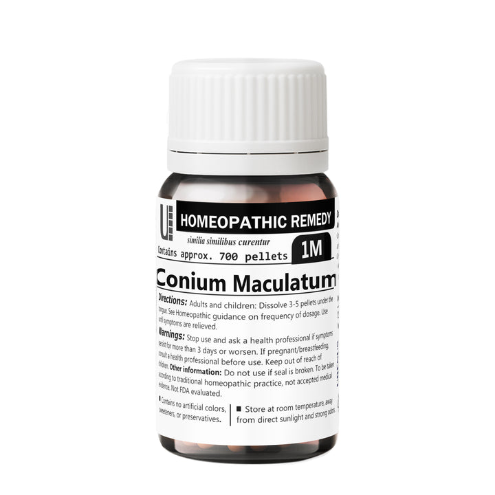 Conium Maculatum