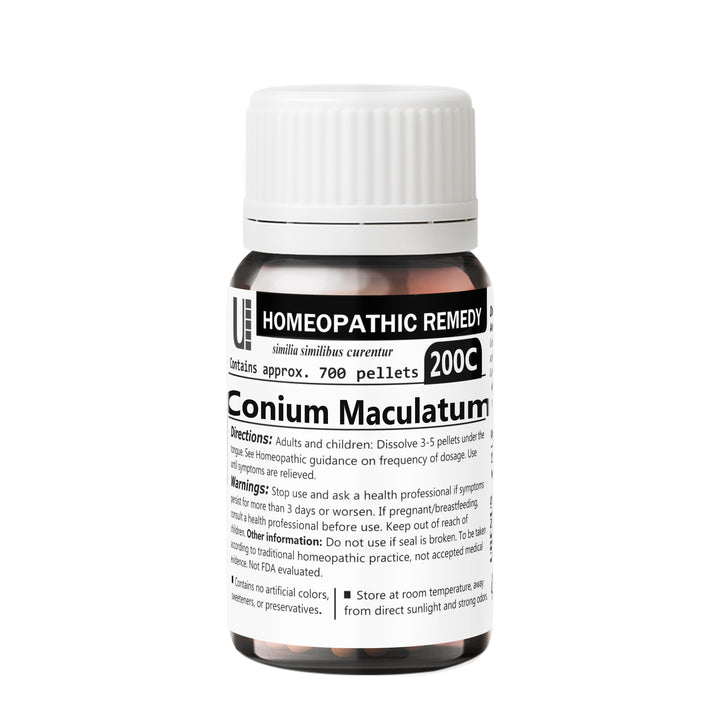 Conium Maculatum