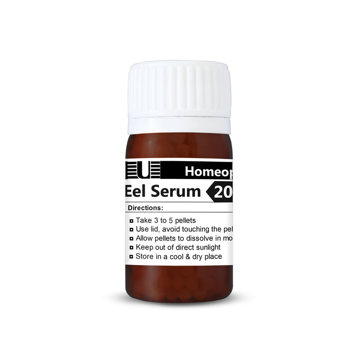 Eel Serum (Anguilla Anguilla)