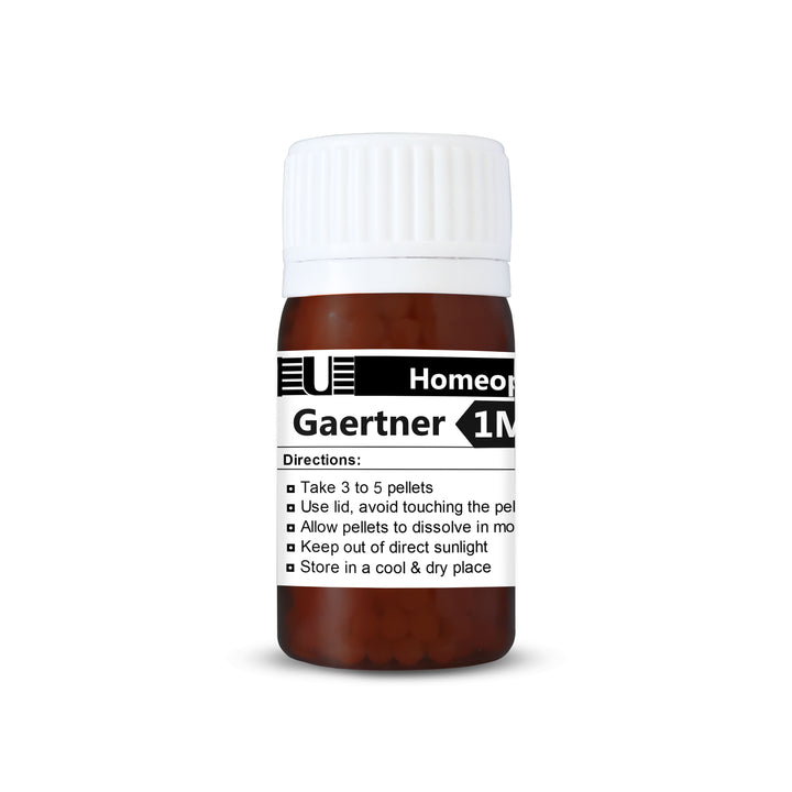 Gaertner (Bach) (Salmonella Enteritidis)