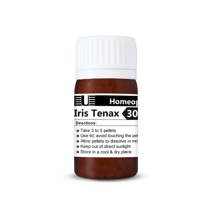 Iris Tenax