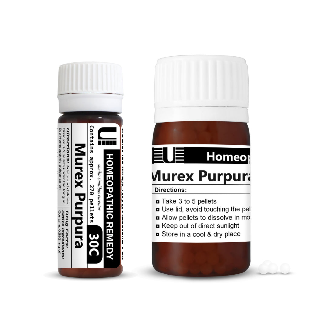 Murex Purpura-Urenus