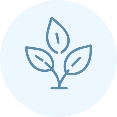Provides plant-based nutritional support