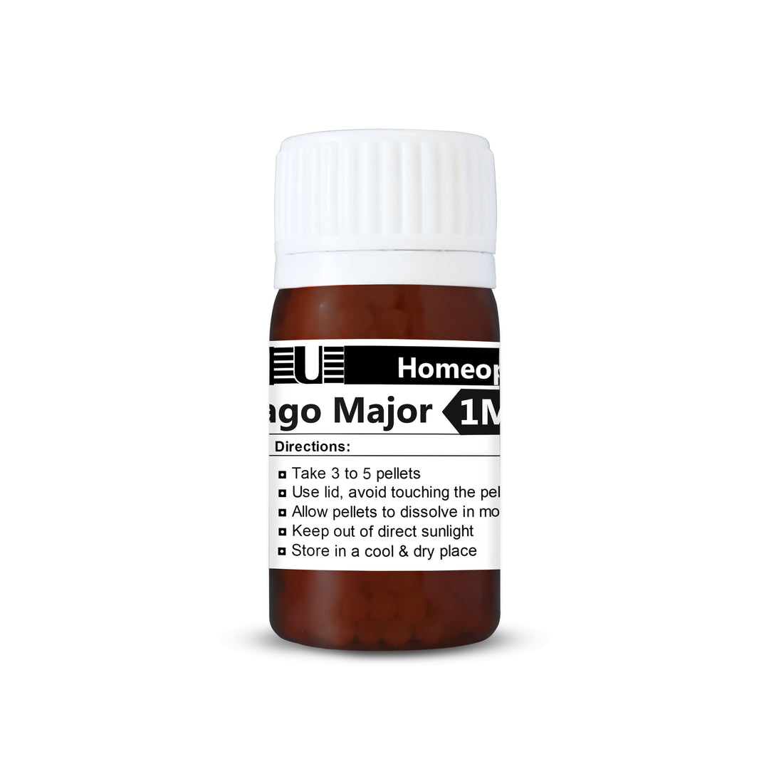 Plantago Major