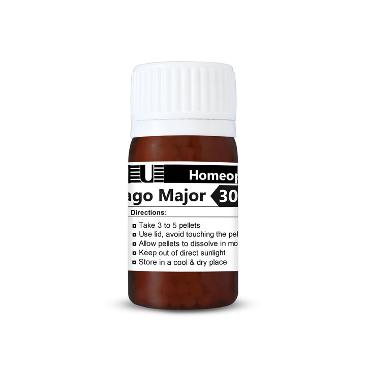 Plantago Major