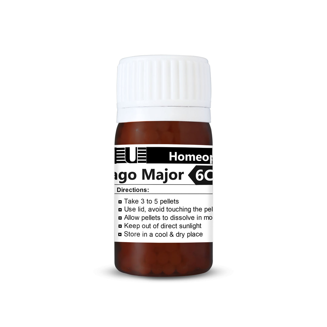 Plantago Major