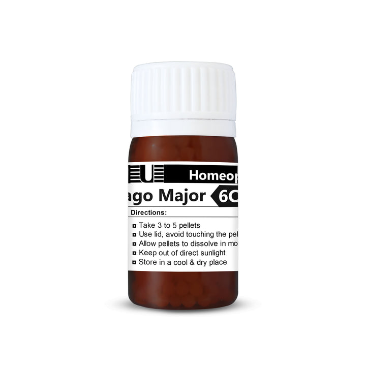 Plantago Major