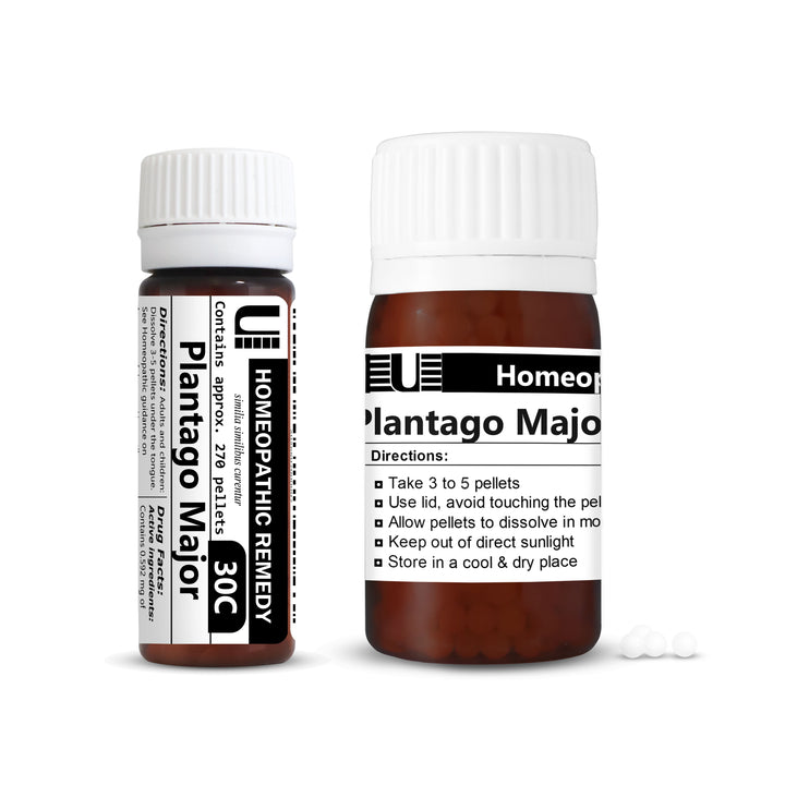 Plantago Major-Urenus