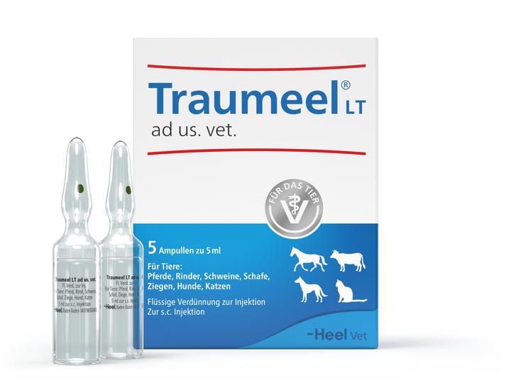 Traumeel® ad us vet 5ml (VET)