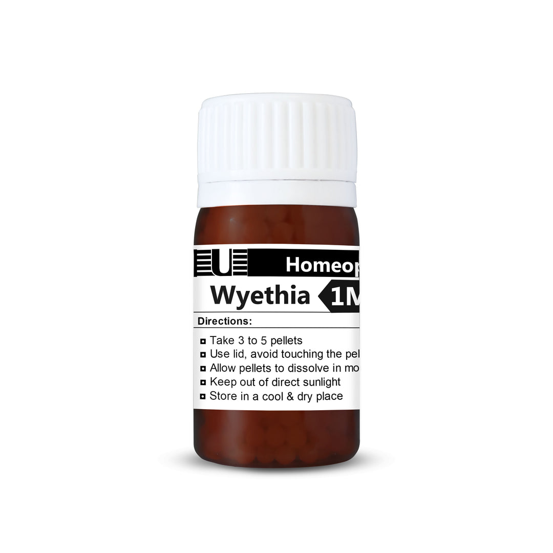 Wyethia