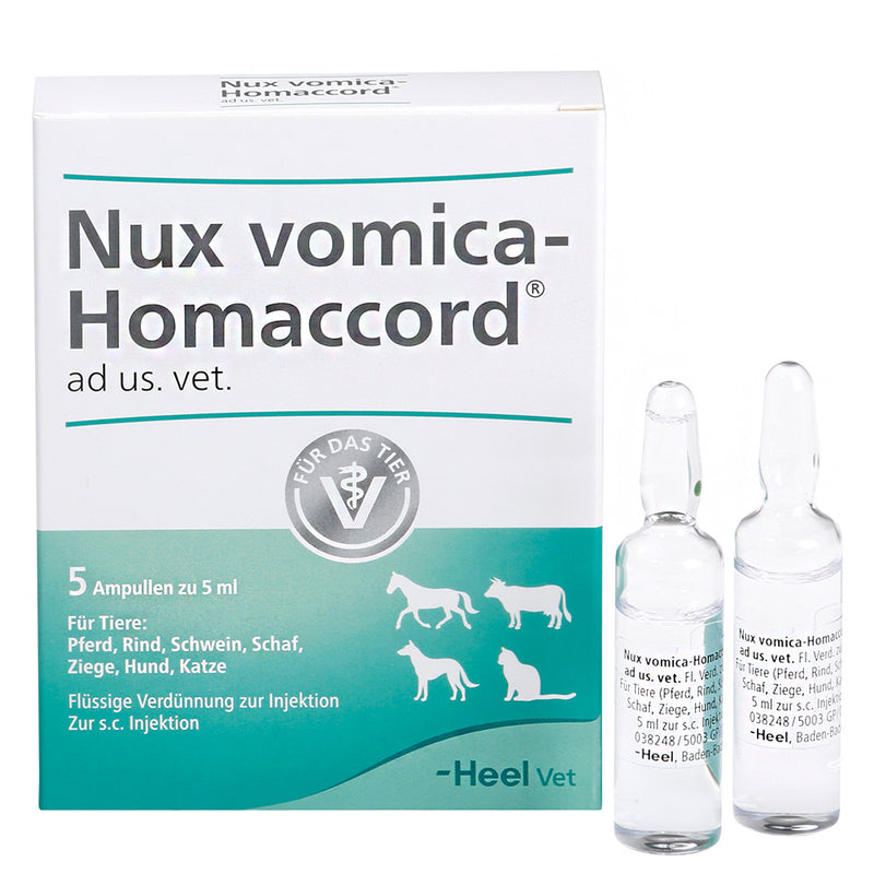 Nux Vomica Homaccord ad us vet 5ml 5 Ampoules (VET)-Urenus