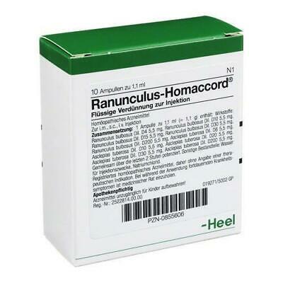 Ranunculus Homaccord 10 Ampoules-Urenus