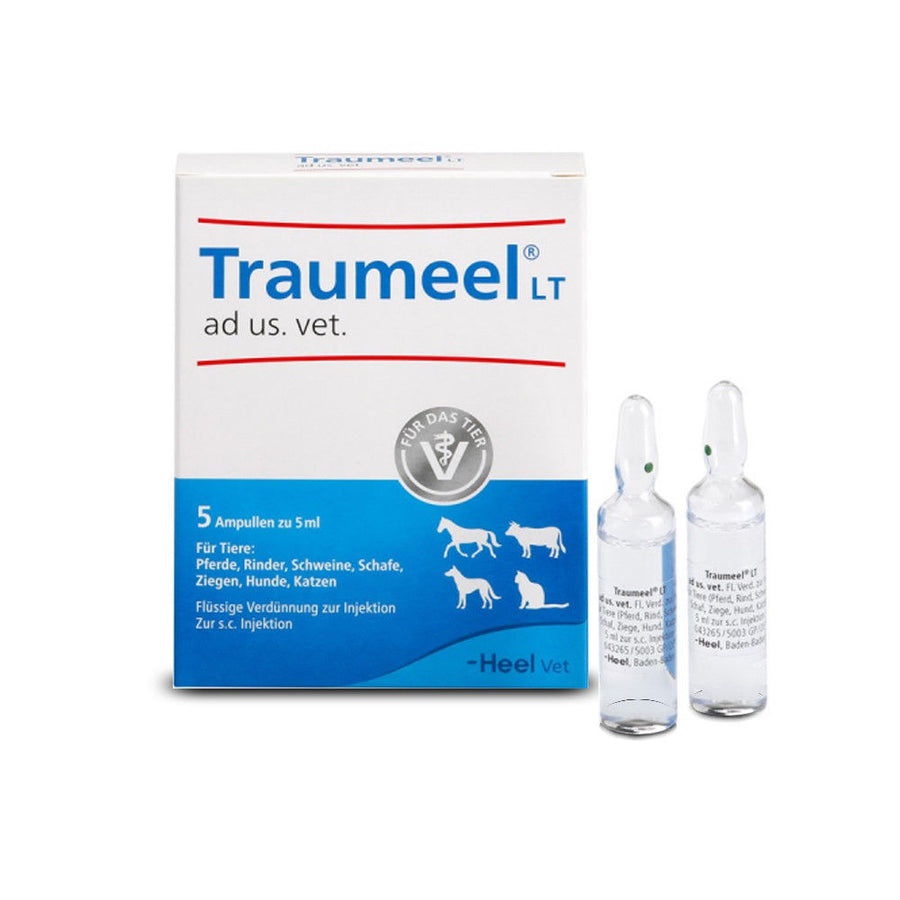 Traumeel ad us vet 5ml (VET)-Urenus