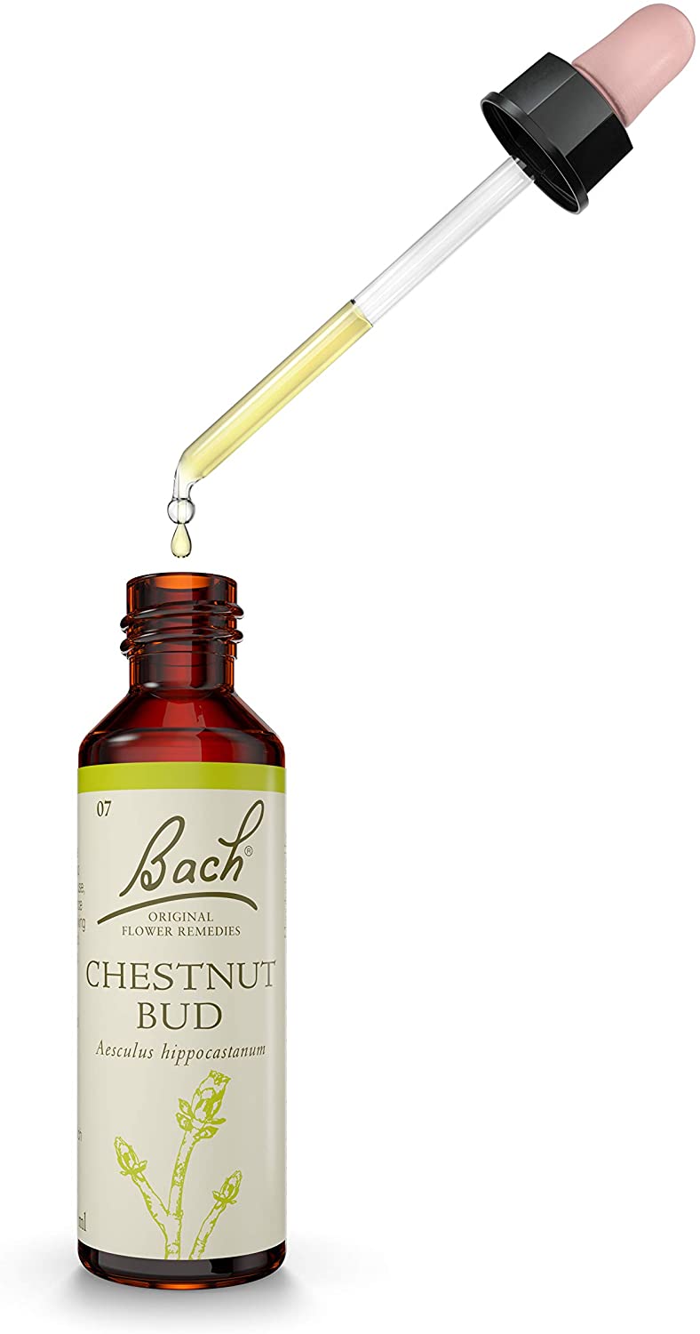 Bach Flower Chestnut Bud