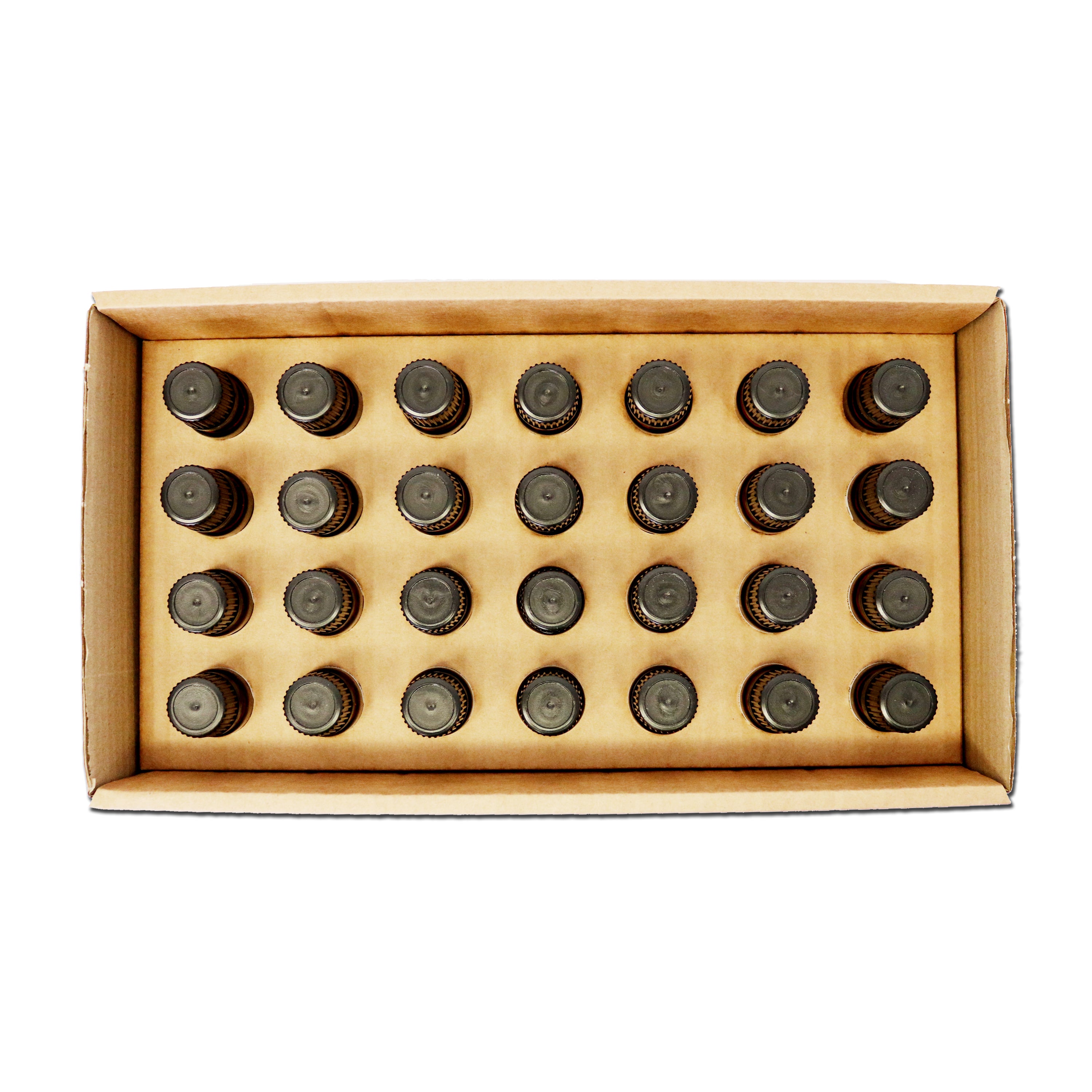 Homeopathic Kit of Polychrests Containing 28 Most Commonly Used Remedi ...