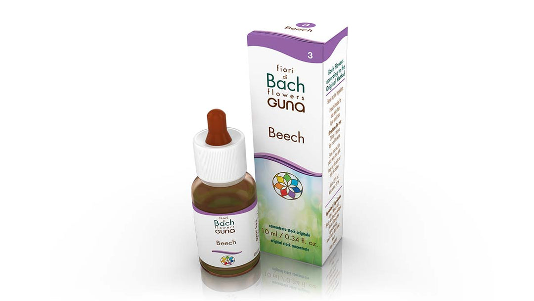 Beech Bach Flower - 10ml Drops