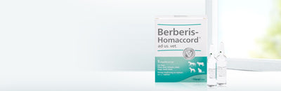 Berberis Homaccord ad us vet 5ml 5 Ampoules (VET)-Urenus
