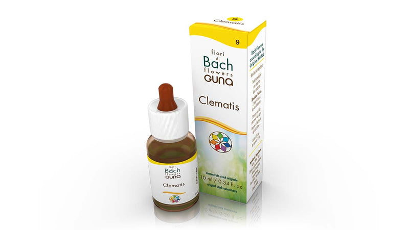 Clematis Bach Flower - 10ml Drops