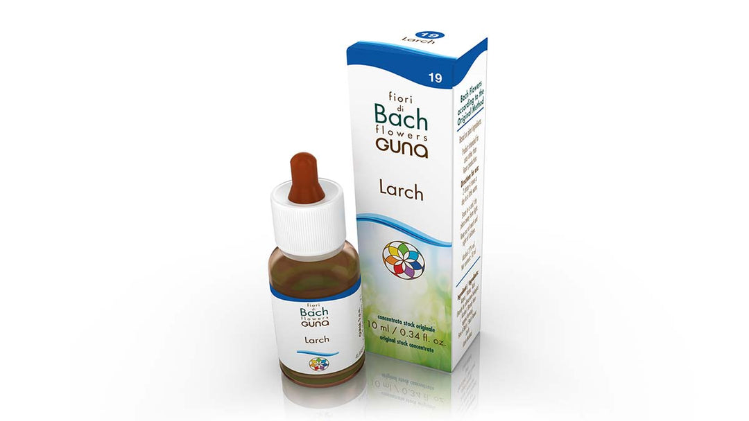 Larch Bach Flower - 10ml Drops