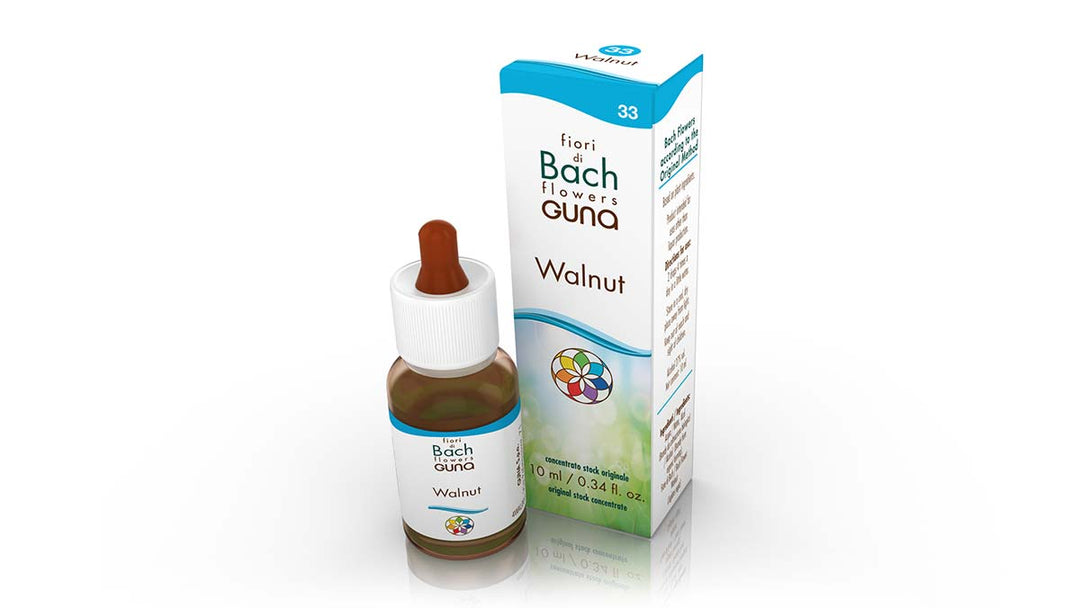 Walnut Bach Flower - 10ml Drops