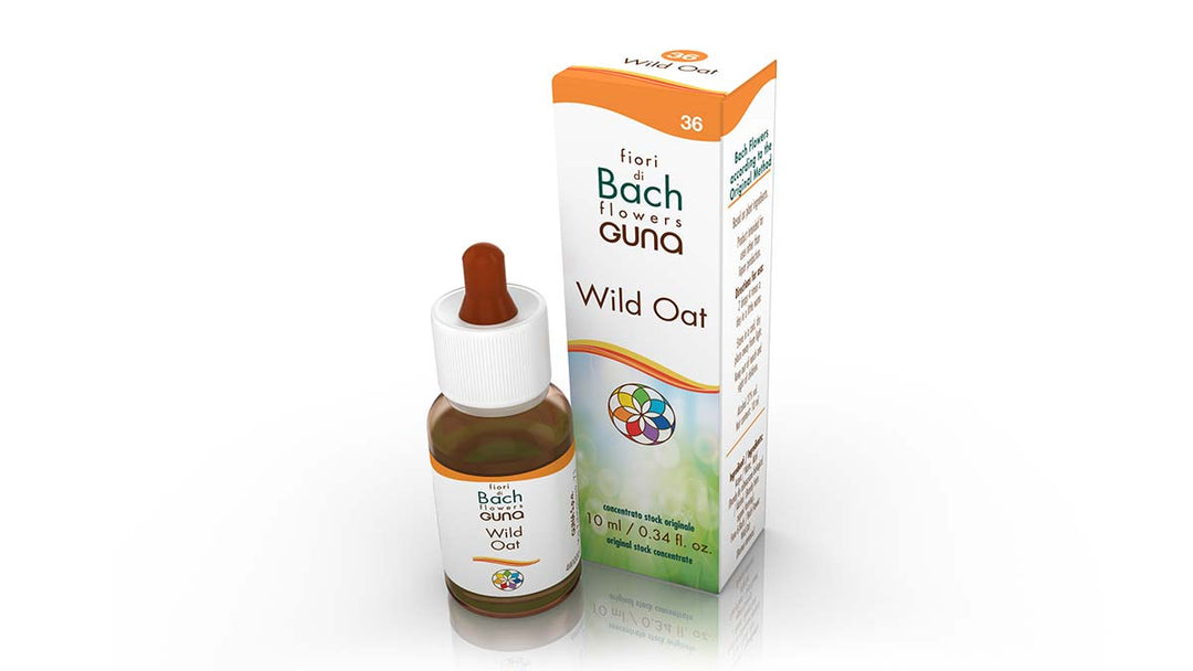 Wild Oat Bach Flower - 10ml Drops