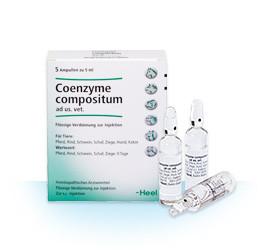 Co Enzyme Compositum ad us vet 5ml Ampoules (VET)-Urenus
