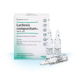 Lachesis Compositum ad.us.vet 5ml 5 Ampoules (VET)-Urenus