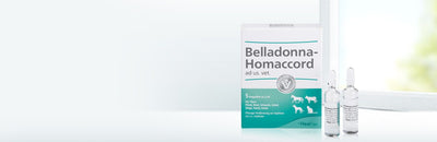 Belladonna Homaccord ad us vet 5ml 5 Ampoules (VET)-Urenus