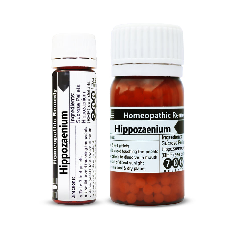 Hippozaenium-Urenus