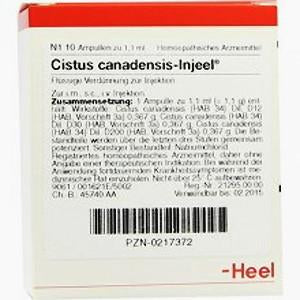 Cistus Canadensis Injeel 10 Ampoules-Urenus