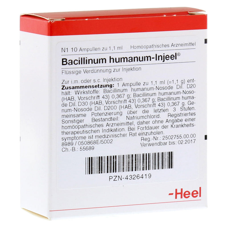 Bacillinum Humanum Injeel 10 Ampoules-Urenus