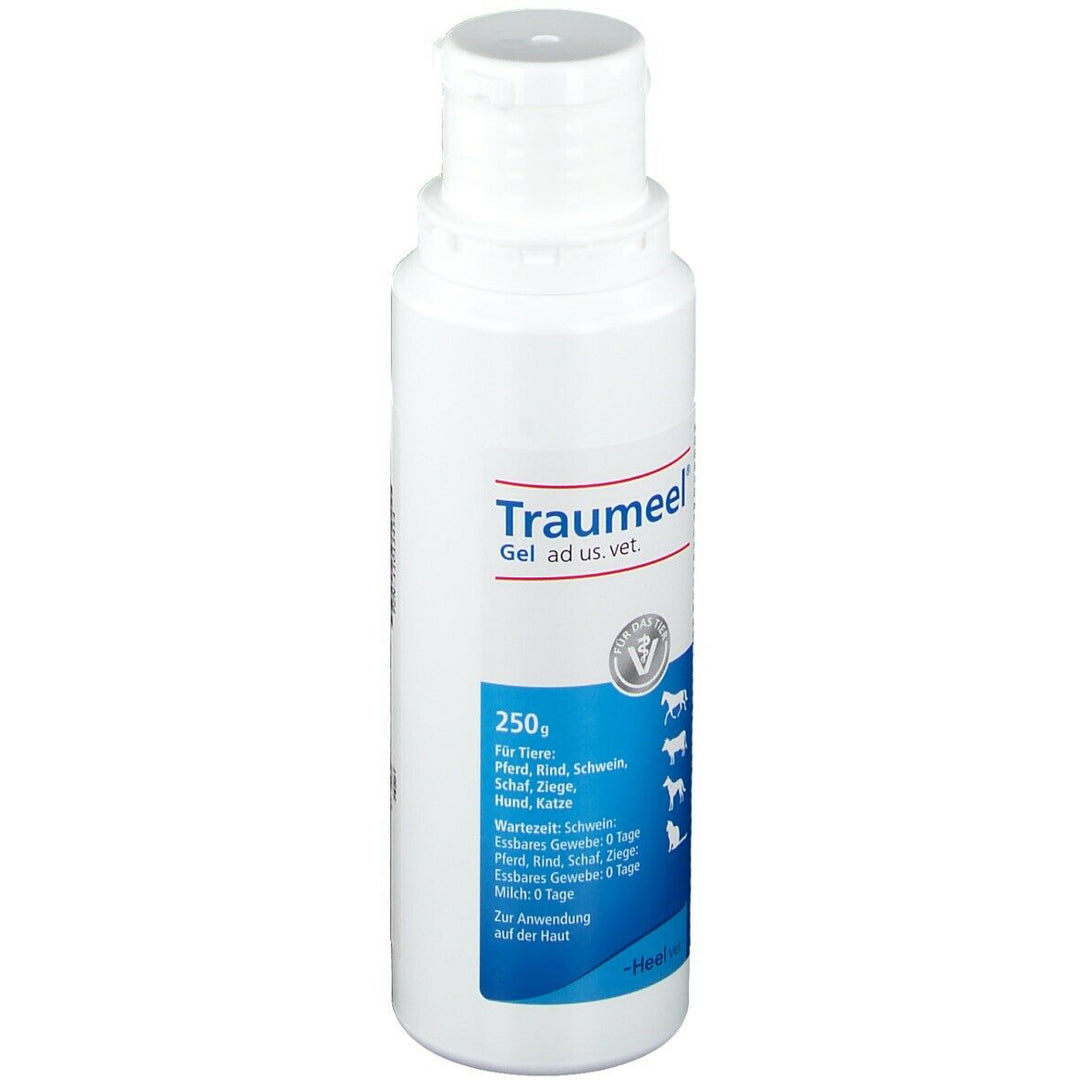 Traumeel® Gel