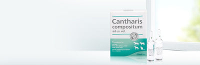 Cantharis comp ad.us.vet 5ml 5 Ampoules-Urenus
